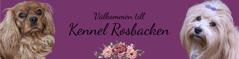 Kennel Rosbacken